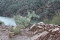 Southwest US Photo